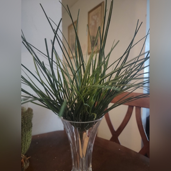 Bear Grass Bush 23". each - Picture 3 of 6